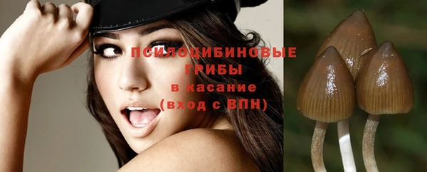 молекула духа Магас