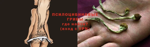 apvp Алзамай