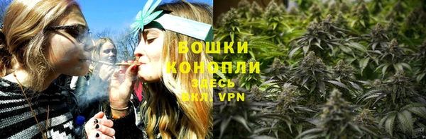 молекула духа Магас