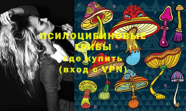 круглые Абаза